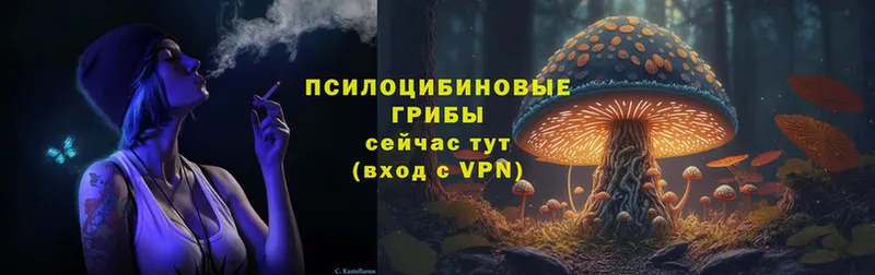 наркошоп  Данилов  Псилоцибиновые грибы Cubensis 